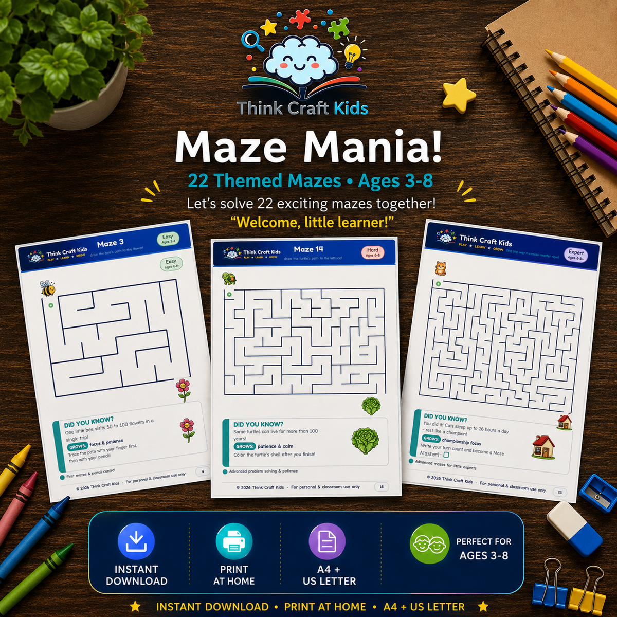 Maze Mania